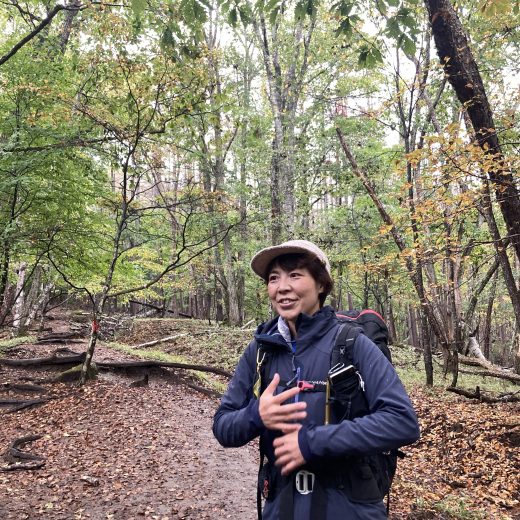 紅葉と緑が入り混じっている木々が立つ山林で、リュックサックを背負った細井 裕子さんを写した写真